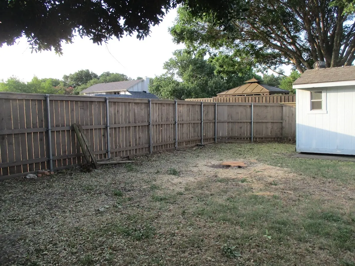 Cleared yard after professional tree removal in Yankeetown